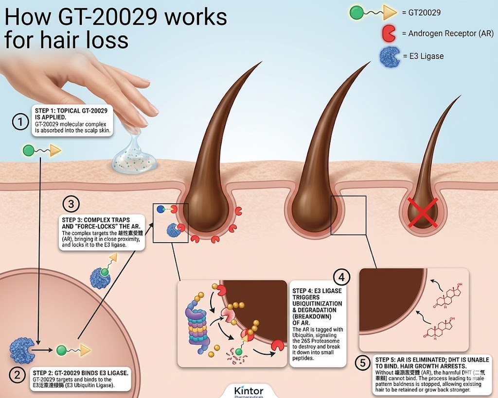 開拓藥業的 GT20029 @董哥的家 iwanthair's blog