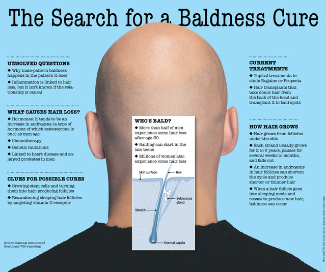 維生素D與治療禿頭的研究 @董哥的家 iwanthair&#039;s blog