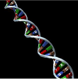 基因療法的概念及未來之應用 @董哥的家 iwanthair&#039;s blog